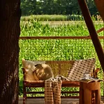 Zatoria Luxury Glamping ホリデーパーク ザトル