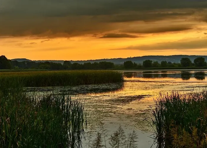 Kompleks wypoczynkowy Zatoria Luxury Glamping *