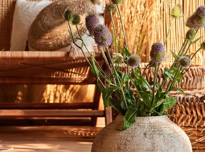 Zatoria Luxury Glamping