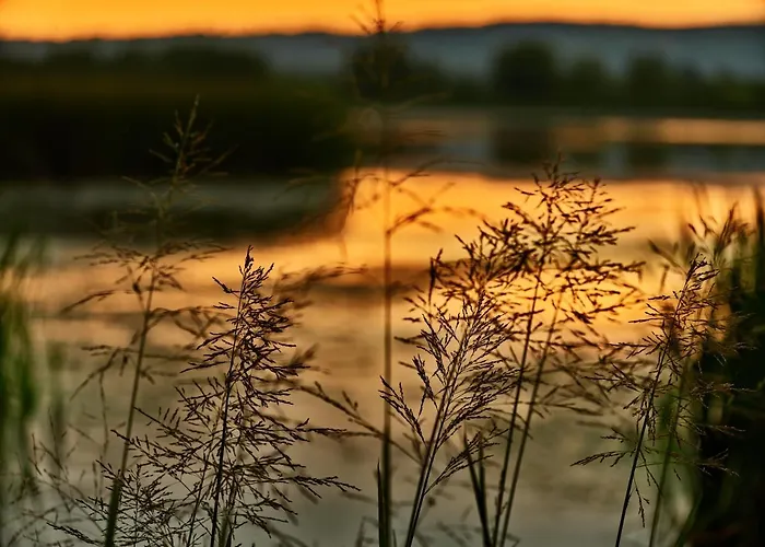 Parco vacanze Zatoria Luxury Glamping Zator