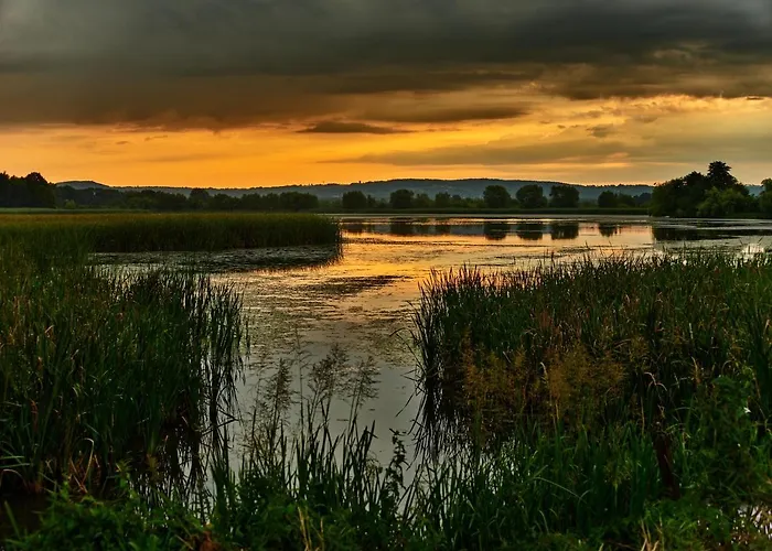 Kompleks wypoczynkowy Zatoria Luxury Glamping *