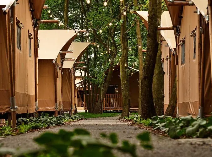 Zatoria Luxury Glamping Kompleks wypoczynkowy *