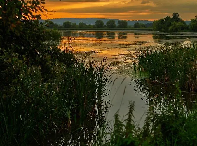 Kompleks wypoczynkowy Zatoria Luxury Glamping