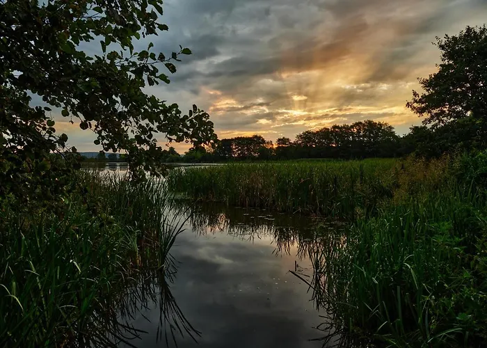 Kompleks wypoczynkowy Zatoria Luxury Glamping Zator