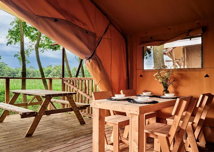 Zatoria Luxury Glamping Kompleks wypoczynkowy Zator